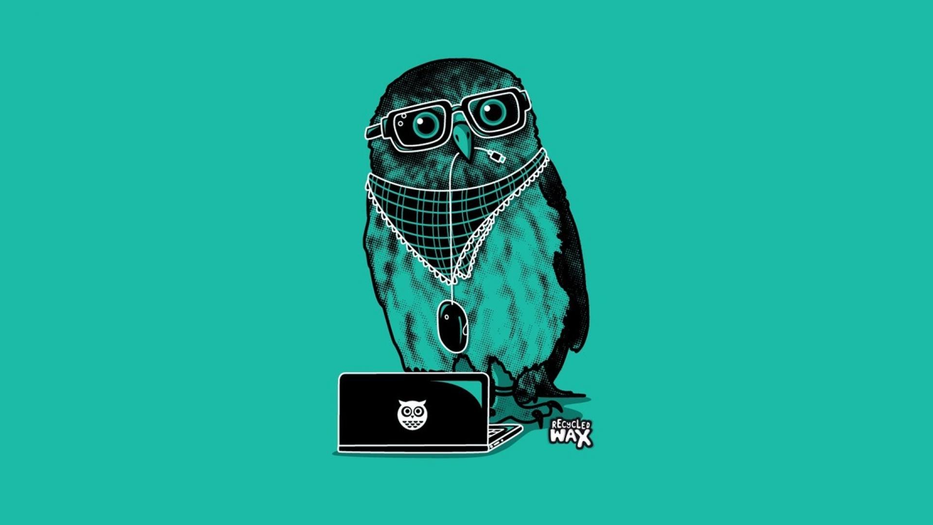 minimalistic hipster owls simple wallpaper 