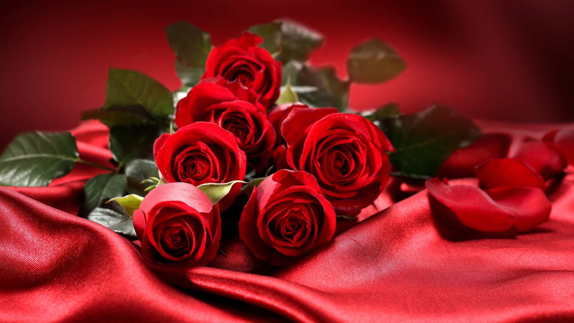 roses rouges, amour, saint valentin fonds d'écran x fonds