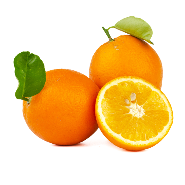 Essentiel à savoir sur la variété d’orange Navelina