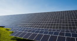 Comment trouver la bonne entreprise pour votre installation photovoltaïque ?