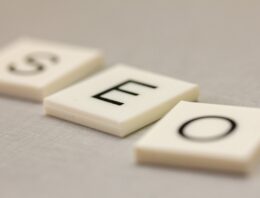 L’importance du Netlinking dans le Référencement: Conseils et Avis d’Experts