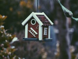 Comment choisir la bonne agence immobilière pour vendre ou acheter une propriété ?