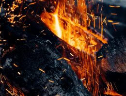 Les bûches densifiées pour un chauffage performant et durable