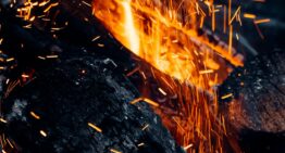 Les bûches densifiées pour un chauffage performant et durable